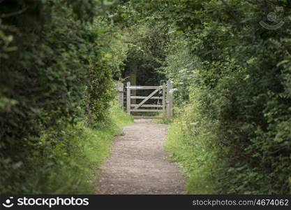 Shallow depth of field landscape image of tree covered footpath leading to distant gate