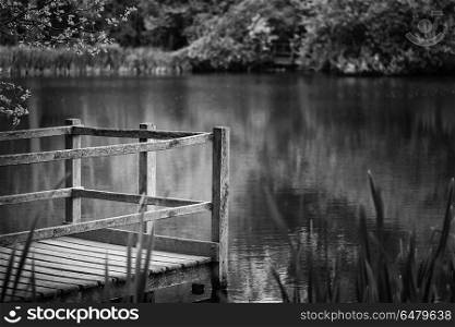 Shallow depth of field landscape image of vibrant peaceful Summe. Shallow depth of field landscape image of peaceful Summer lake in English countryside in black and white