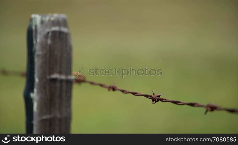 Shallow DOF shot of a barbed wire fence