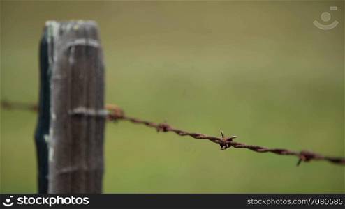Shallow DOF shot of a barbed wire fence