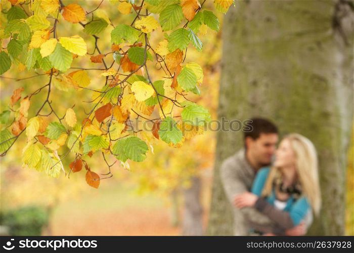 Shallow Focus View Of Romantic Teenage Couple By Tree In Autumn Park
