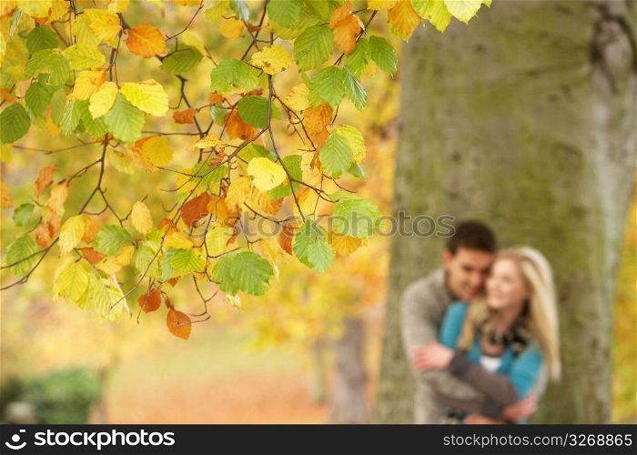 Shallow Focus View Of Romantic Teenage Couple By Tree In Autumn Park