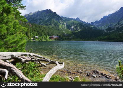 Shallow river flows through stones . mountain landscape