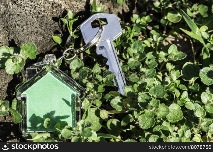 Shape of a house on grass and keys. Sun light