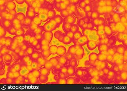 Shape of bacterial cell: cocci, bacilli, spirilla bacteria background