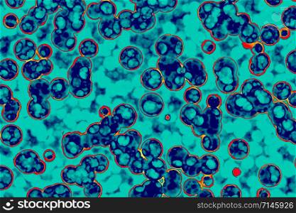 Shape of bacterial cell: cocci, bacilli, spirilla bacteria background