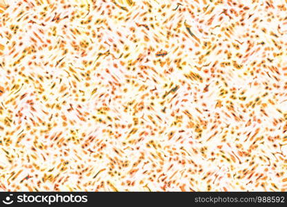 Shape of bacterial cell: cocci, bacilli, spirilla bacteria background