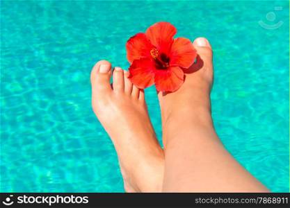 shapely female legs with red flower on the edge of the pool