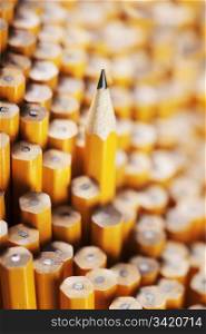 Sharpened pencil amongst the non-sharpened ones. Very short depth-of-field.