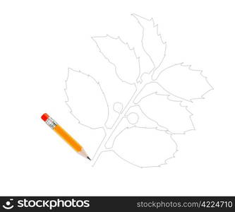 Sharpened Yellow pencil isolated on white background. . Sharpened Yellow pencil