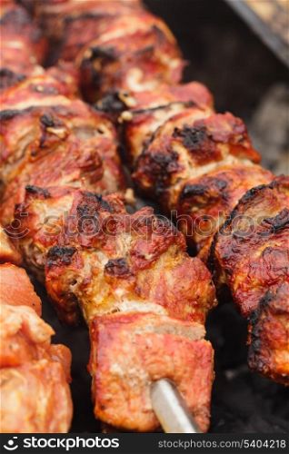 Shashlik on skewers closeup - roasted meat slices