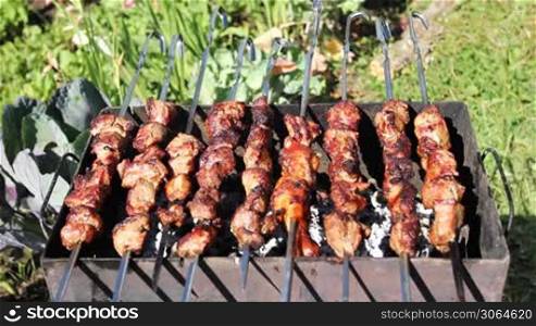 shashlik roasting in grill on nature summer day, two people come and take it