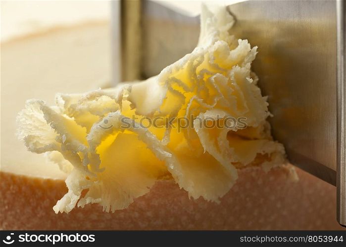 Shaving of Tete de moine cheese on a girolle close up