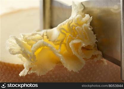 Shaving of Tete de moine cheese on a girolle close up