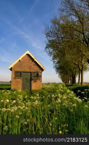 Shed in springtime in a green landscape surrounded by trees the Dutch city Dordrecht. Shed in a filed near the Dutch city Dordrecht