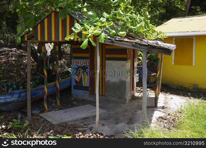 Shed under a tree, Providencia y Santa Catalina, San Andres y Providencia Department, Colombia