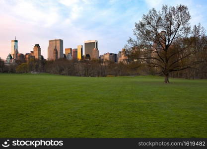 Sheep Meadow at Central Park and Midtown skyline, New York City, NY, USA