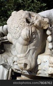 Sheep&rsquo;s head on ruins of Apollo temple in Didim, Turkey