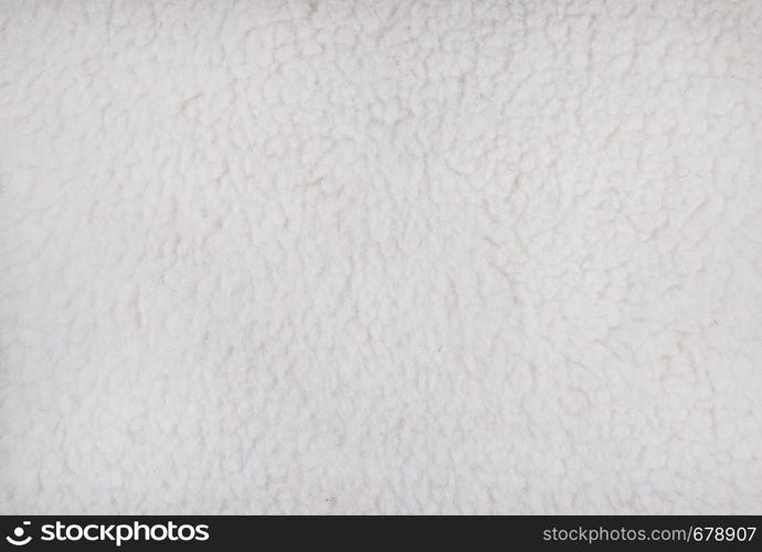 Sheep's wool. White sheep wool texture close up.. Sheep's wool. Sheep wool texture.