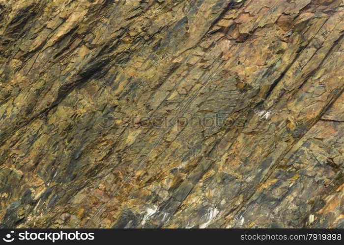 Sheer slate rock face, Pembrokeshire, Wales, United Kingdom, Europe