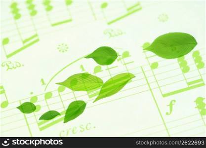 Sheet music and Fresh green