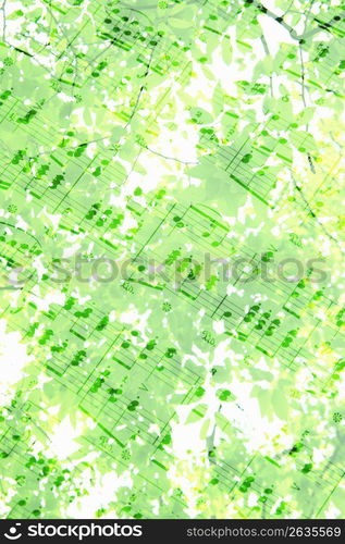 Sheet music and Fresh green