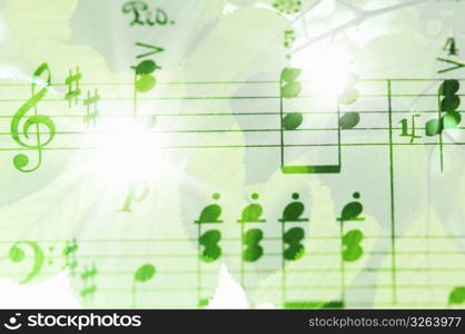 Sheet music and Fresh green