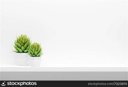 shelf on white wall with green potted plants mock up. 3d illustration