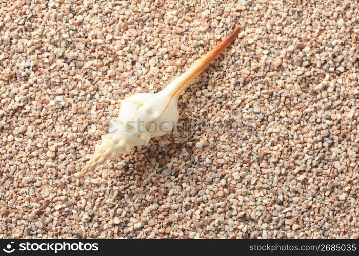 Shell