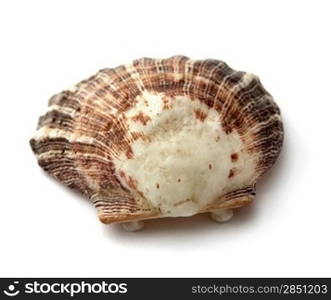 Shell