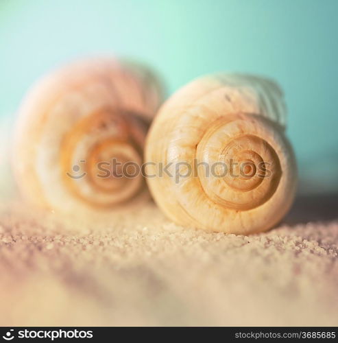 Shell