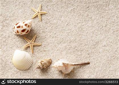 Shell of sands