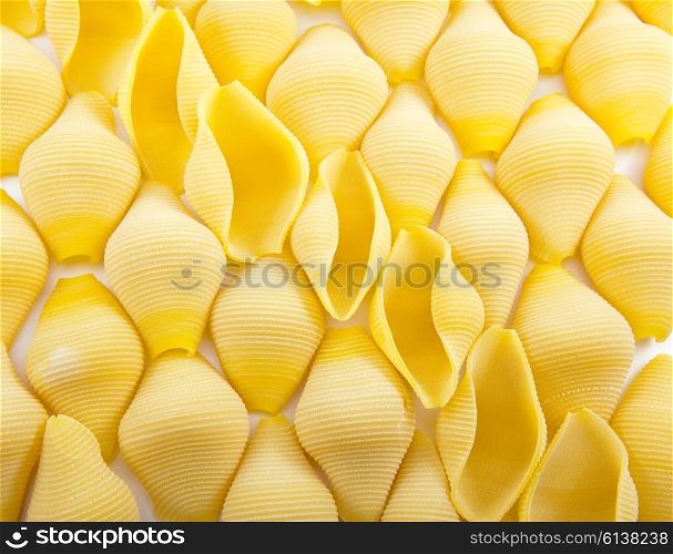 ""shell" pasta "