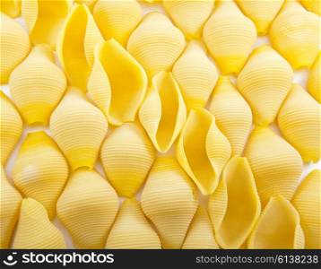 ""shell" pasta "