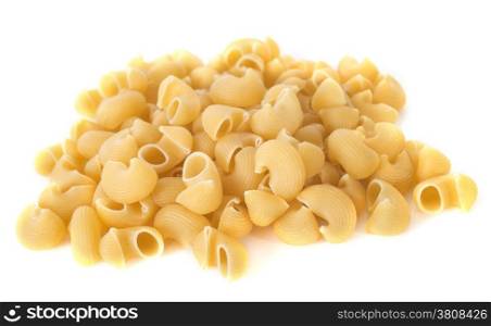 shell pasta in front of white background
