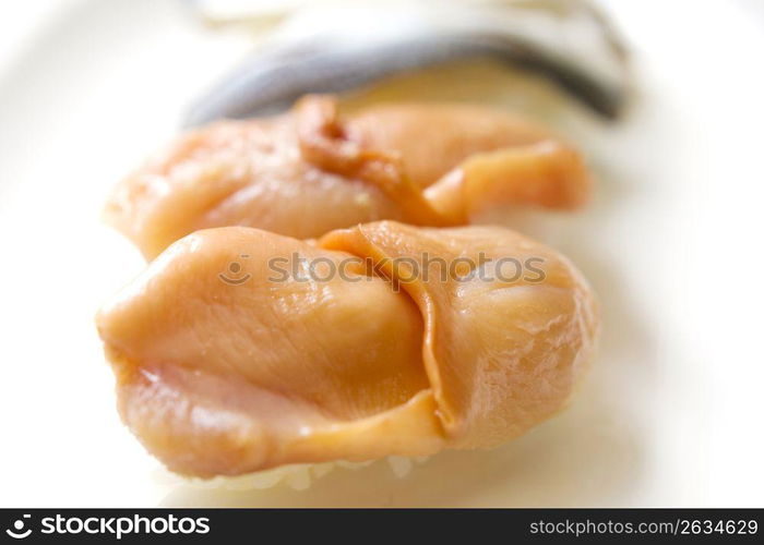 Shellfish