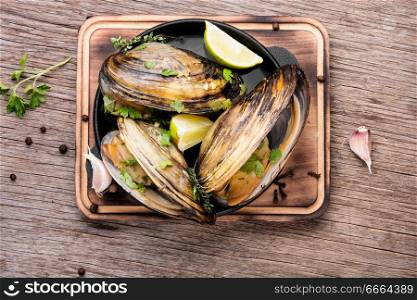 Shellfish mussels in frying pan with lemon.Clams in the shells. Delicious seafood mussels