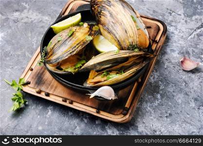 Shellfish mussels in pan with lemon and herbs.Clams in the shells. Delicious seafood mussels