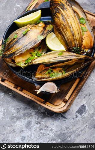 Shellfish mussels in pan with lemon and herbs.Clams in the shells. Delicious seafood mussels