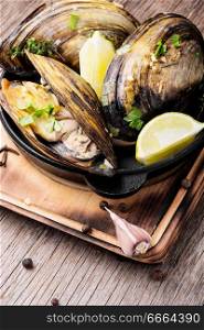 Shellfish mussels in pan with lemon and herbs.Mussels with lemon. Delicious seafood mussels