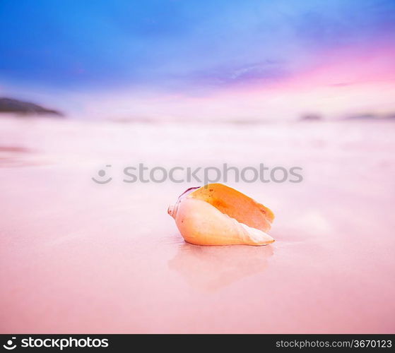Shells