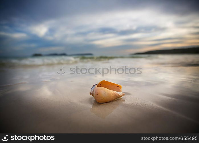Shells