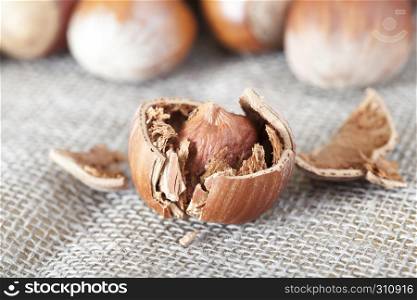 Shells on hazelnuts, lying on a linen tablecloth. Shells on hazelnuts