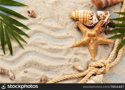 shells starfish sand. High resolution photo. shells starfish sand. High quality photo
