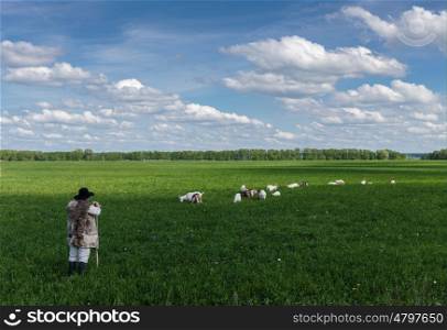 Shepherd and goats on a green meadow