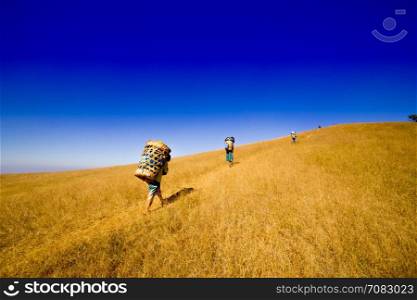 Sherpas man carry on baggage basket to top of mountain, Chiang mai Thailand