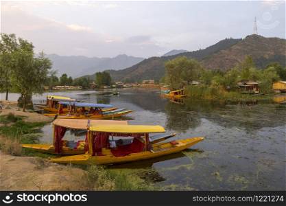 Shikaras, small wooden carved boats, Dal lake, Srinagar, Kashmir, India