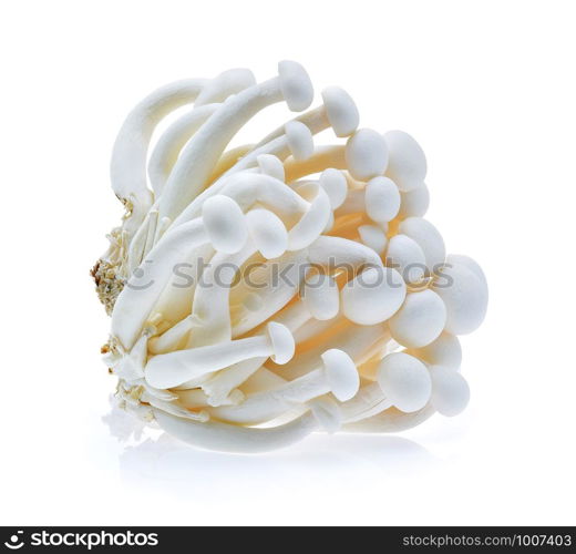 Shimeji mushroom, White beech mushrooms (Edible mushroom) isolated on white background
