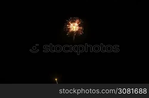 Shining fireworks of various colors over night sky.