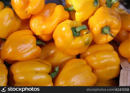 shinny yellow bell peppers at a French market